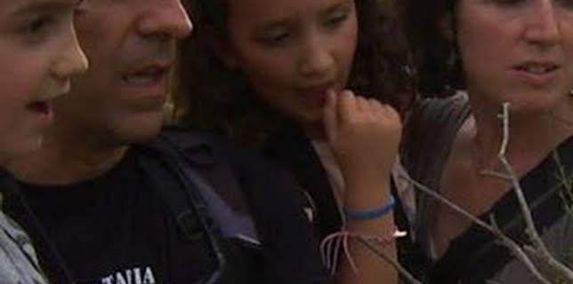 13:23: Tocats de l'ala | Canal 33 | 2/6 2026