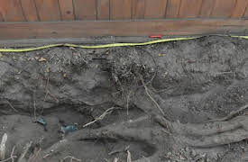 Buried in the Backyard, Season 1: Murder House