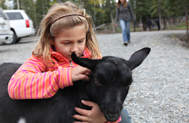 Dr. Oakley: Veterinären i Yukon: Episode 1