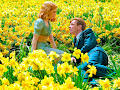 MAD DRAMA: 'BIG FISH'
