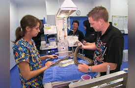 Snake Boss Season 1: Life and Death