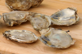 Bobby Flay's Barbecue Addiction: Episode 5