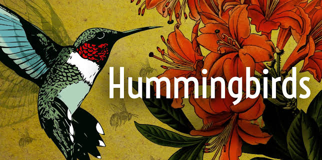 Hummingbirds: Jewelled Messengers (2013)