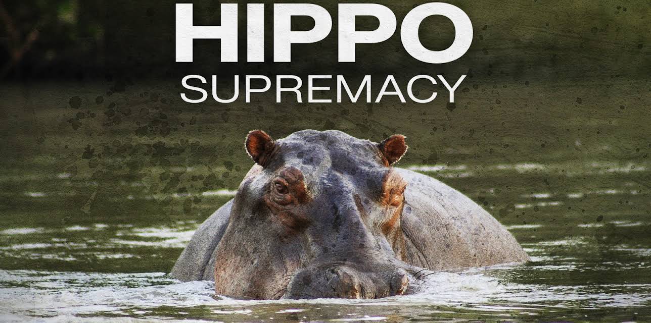 Hippo Supremacy
