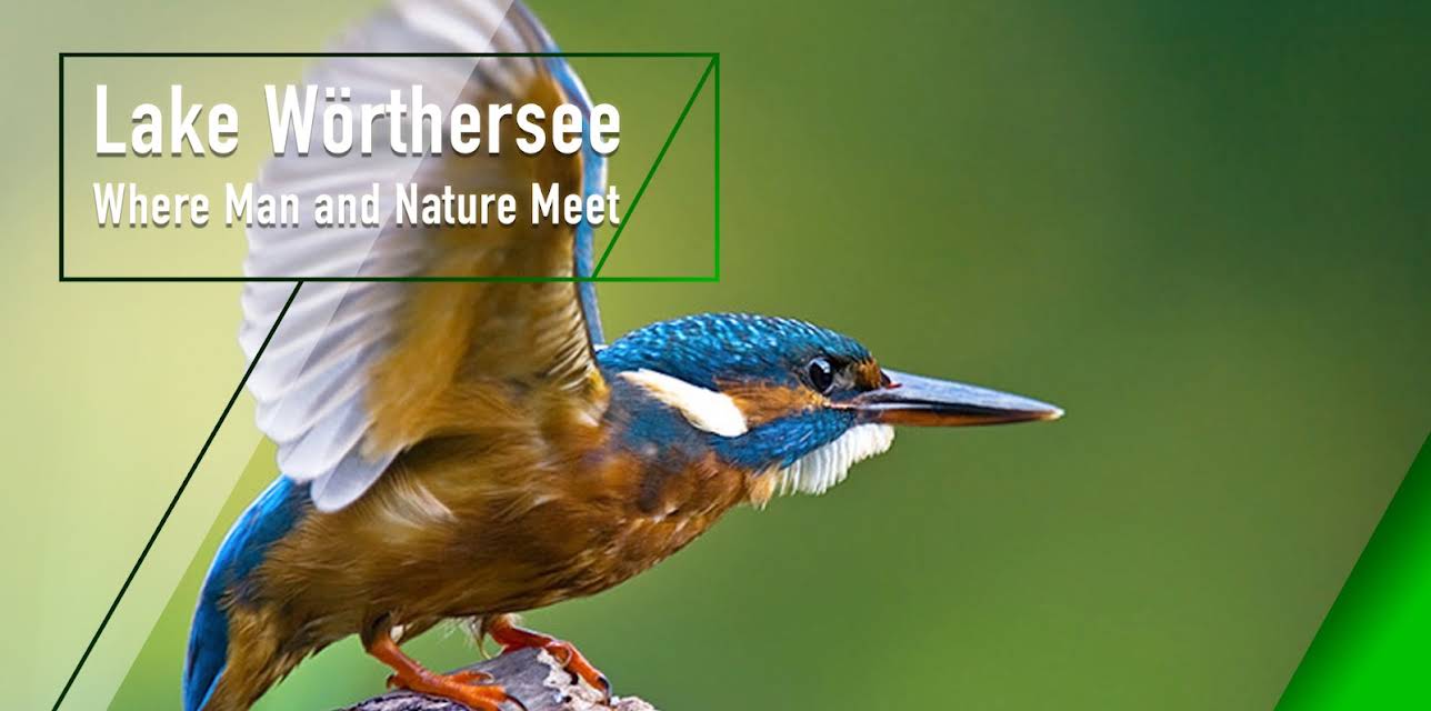 Lake Wörthersee - Where Man and Nature Meet (2011)