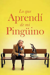 03:28: Lo que aprendí de mi pingüino | M. Drama | 4/10 2026