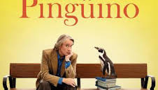 Lo que aprendí de mi pingüino