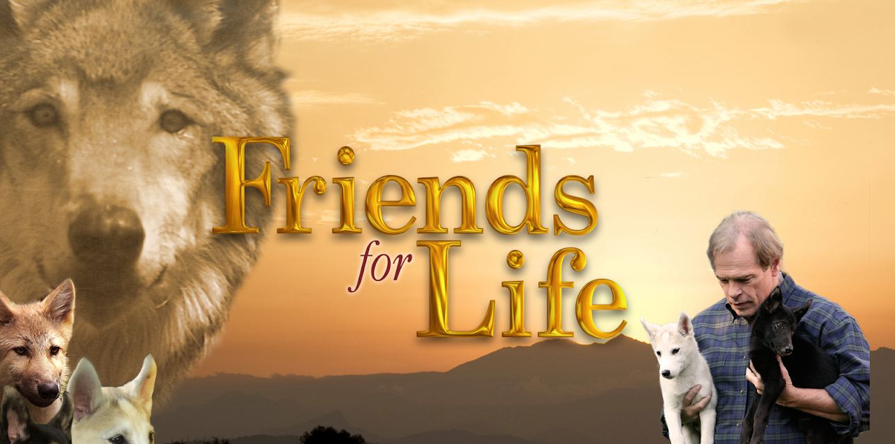 Friends For Life (2008)