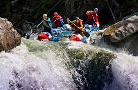 Thinking like an Economist: A Guide to Rational Decision Making: Think Again - Evaluating Risk in Purchasing