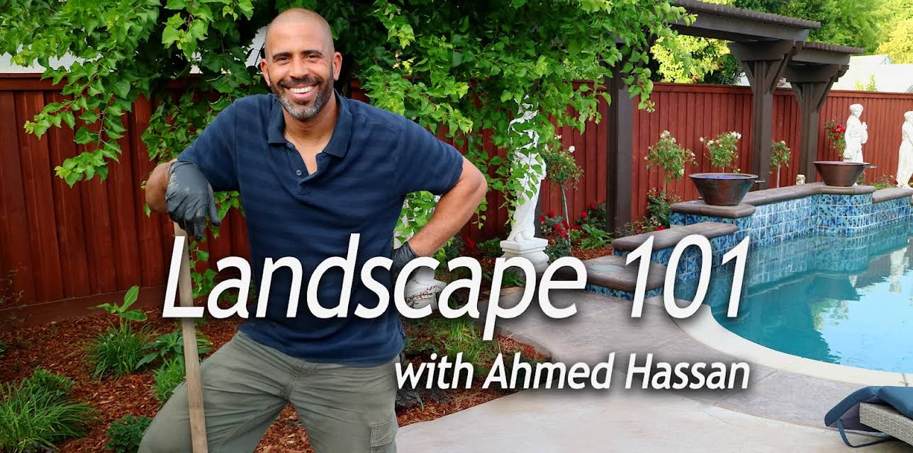 Landscape 101 with Ahmed Hassan