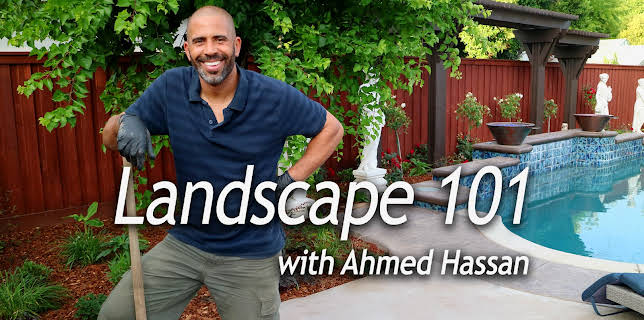 Landscape 101 with Ahmed Hassan