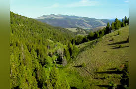 Living Big Sky Season 1: The Johnsons Go to Bitterroot