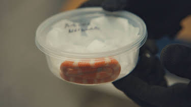 12:05: Border Patrol USA - Einsatz an Mexikos Grenze | ProSieben Maxx | 4/6 2026