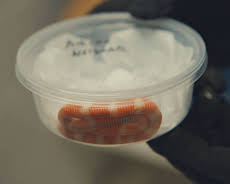 Border Patrol USA - Einsatz an Mexikos Grenze