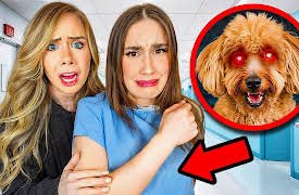 The Besties in Spooky Sleepover: a pocket.watch mishmash: Puppy Bites and Ghostly Texts!