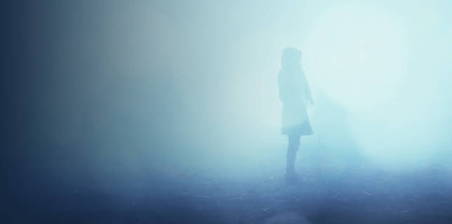 16:45: Forsvunnet (S10 E4) (S10) | VOX | 1/7 2026