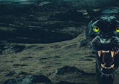 Big Cat Britain Declassified