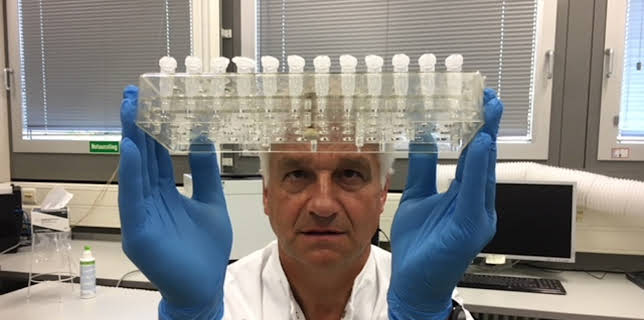 06:30: Ermittler! | ZDFinfo | 3/17 2026