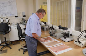 Deadly Dates: Lorraine Long