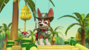 8:00 AM: PAW Patrol (S10 E34) (S10) | Channel 5 | 8/13 2026