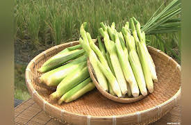 Dining Al Fresco: Makomotake