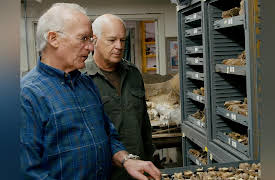 Beyond Is Genesis History?: Exploring Fossils & Paleocurrents : Fossil Repository