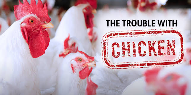 The Trouble with Chicken (1983)
