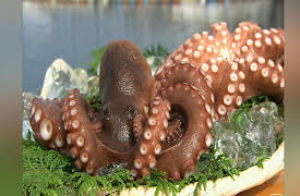 Dining Al Fresco: Akashi Octopus