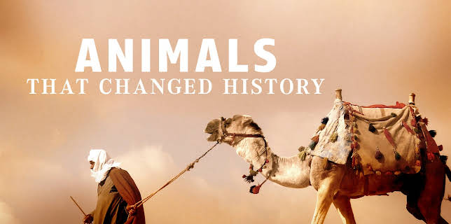 Animals that Changed History