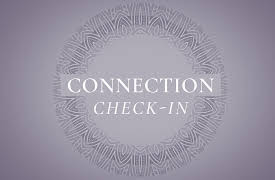 The Hidden Power of Meditation: Connection: Check In
