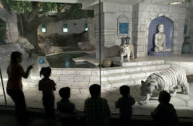 How We Learn: Categories, Rules, and Scripts