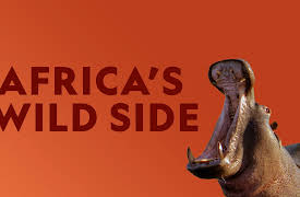 Africa's Wild Side Season 1: Battle of the Sexes