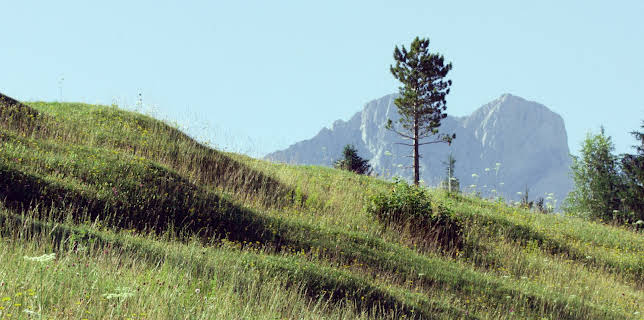 03:55: Bayerns Naturdenkmäler (1/2) | 3SAT | 11/19 2025
