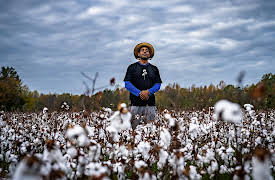 Human Footprint, Season 1: The Ground Below