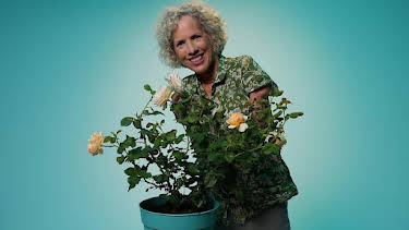 10:45 AM: What’s in Your Plant Pot? (S1) | Cbeebies | 4/10 2026