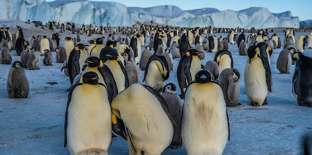 11:00 PM: An Cruinne Caochlaideach/Dynamic Planet (S1) | BBC Alba | 11/23 2025