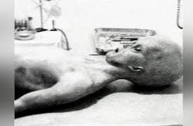 Storming Area 51: Extraterrestrial Entity #1