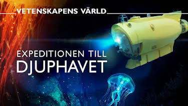 19:00: Vetenskapens värld: Expeditionen till djuphavet | SVT2 | 4/6 2026