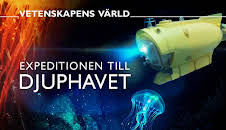 Vetenskapens värld: Expeditionen till djuphavet