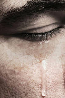 05:30: Los caminos de Jesús | EWTN | 2/12 2026