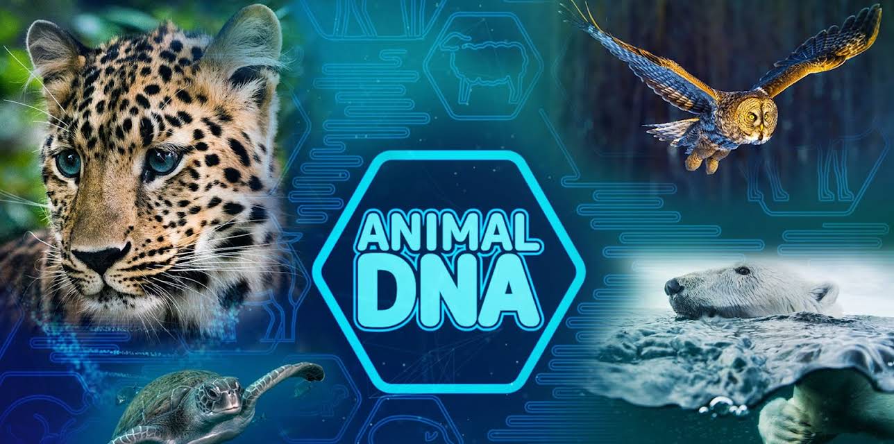 Animal DNA