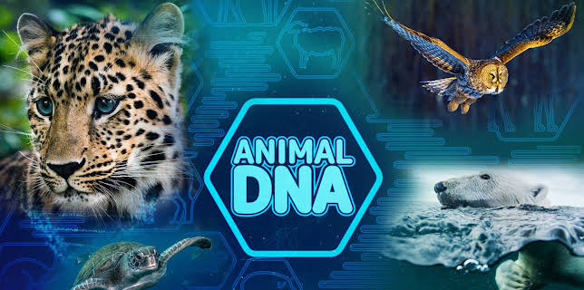 Animal DNA