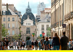 Die Bretagne - Frankreichs rauer Westen