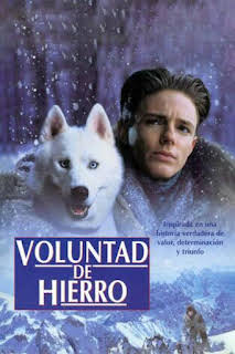 17:00: Voluntad de hierro | 13 TV | 3/28 2026