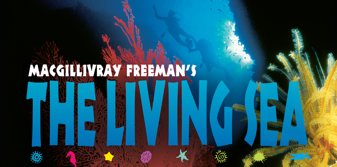 The Living Sea (1995)