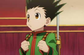 Hunter X Hunter S1: Rivals x In x Survival