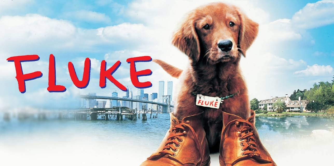 Fluke (1995)