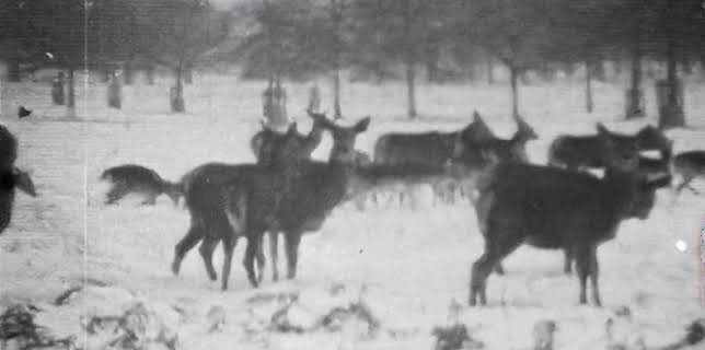 12:45 AM: Winterwatch | BBC Four | 11/6 2025