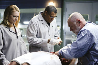 04:35: CSI: Den Tätern auf der Spur | RTL | 6/11 2026