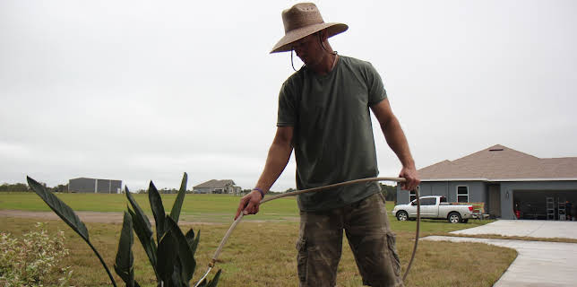 11:00: Husdrøm på 100 dager (S1 E2) (S1) | FEM | 11/17 2025